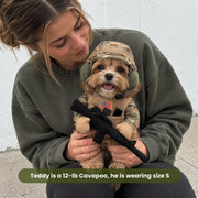 Funny Soldier Costume for Dogs & Cats | Military Outfit