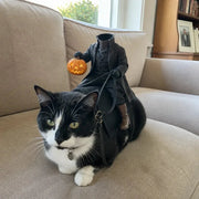 Headless Horseman Cat Costume – Funny 3D Halloween Pet Costume